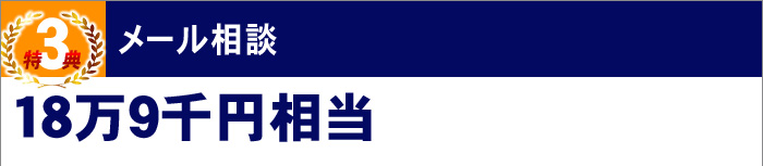 特典3メール相談(18万9千円相当)