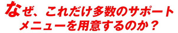 �Ȃ��A���ꂾ�������̃T�|�[�g���j���[��p�ӂ���̂��H