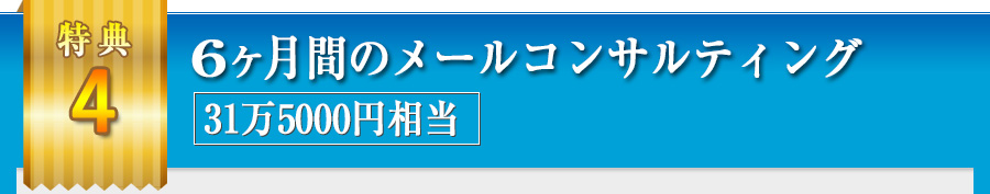 6ヶ月間のメールコンサルティング31万5000円相当