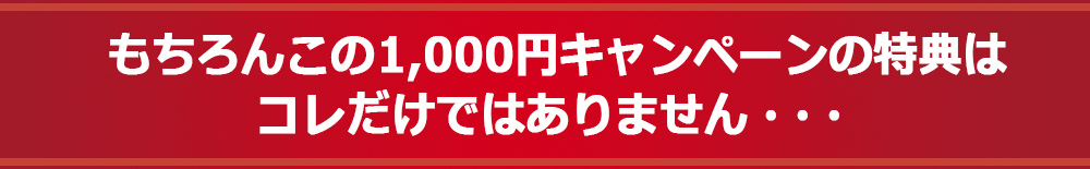 もちろんこの1,000円キャンペーンの特典はコレだけではありません・・・