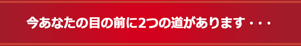 今あなたの目の前に2つの道があります・・・