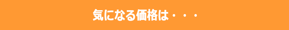 気になる価格は、、、